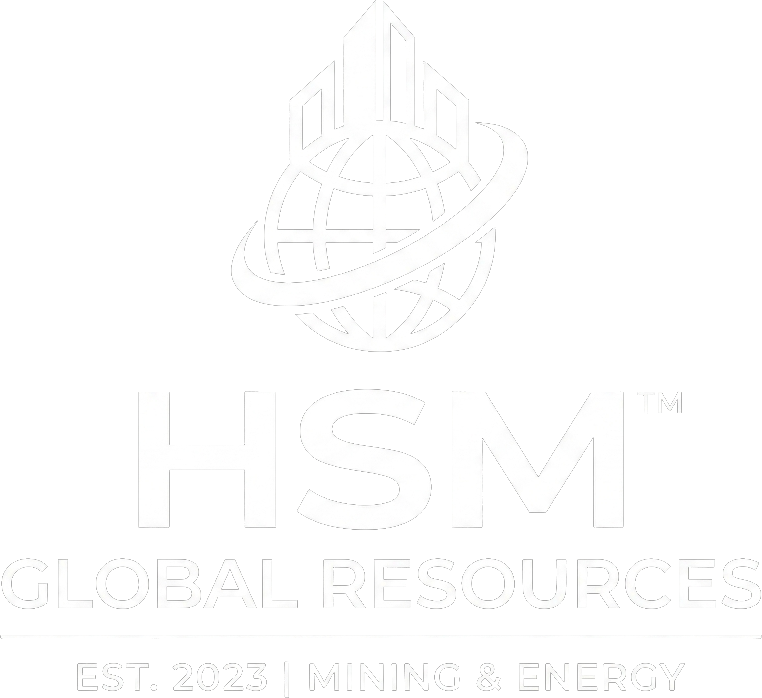 logo de website